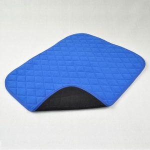 Chair Pad - Blue