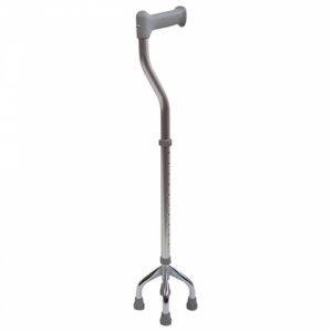 Four Prong Walking Stick